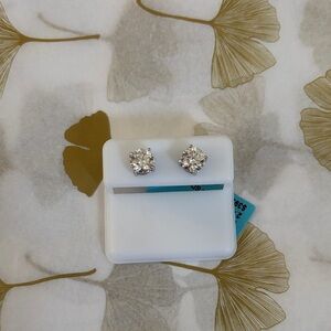 Elegant Silver Stud Earrings